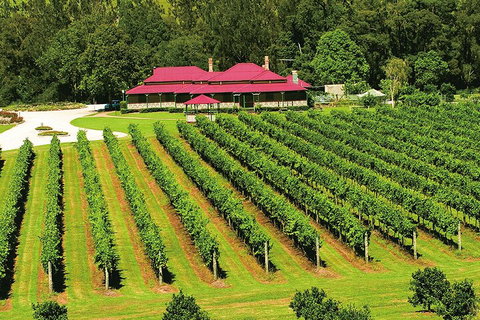 O'Reilly's & Lamington National Park From Gold Coast - Accommodation in Surfers Paradise 2