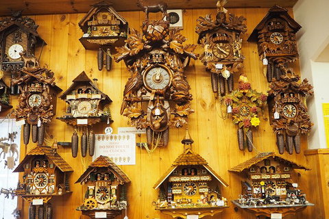 O'Reilly's & Lamington National Park From Gold Coast - Accommodation in Surfers Paradise 5