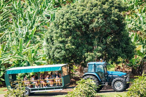 Northern Rivers Full Day Wine Tour - Accommodation in Surfers Paradise 1