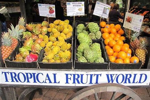 Northern Rivers Full Day Wine Tour - Accommodation in Surfers Paradise 3