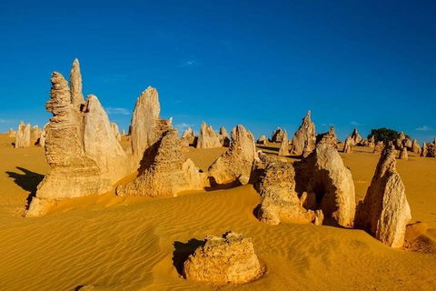 Pinnacle Desert Sunset And Stargazing With Dinner - Accommodation in Surfers Paradise 3