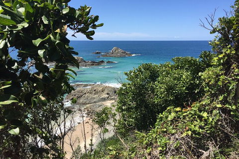 Behind The Bay - Explore Like A Local - Accommodation in Surfers Paradise 1