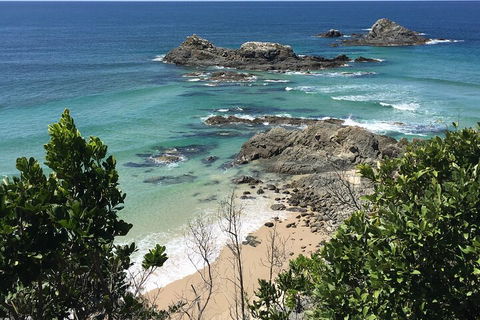 Behind The Bay - Explore Like A Local - Accommodation in Surfers Paradise 3