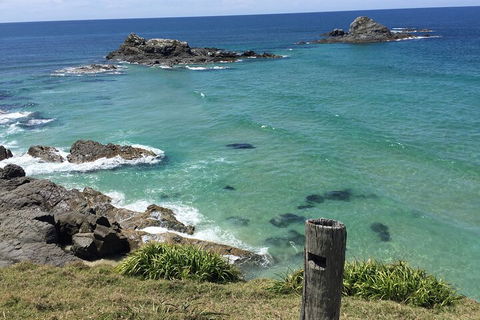 Behind The Bay - Explore Like A Local - Accommodation in Surfers Paradise 5