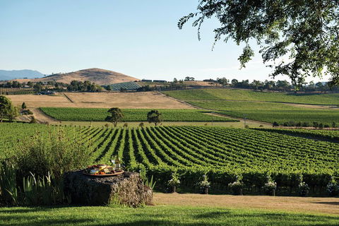 Small Group 6 Guests: Ultimate Yarra Valley Food And Wine - Mercedes Van - Accommodation in Surfers Paradise 4