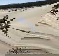 Port Stephens Bush Beach and Sand Dune 4WD Tag-Along Tour - Accommodation in Surfers Paradise