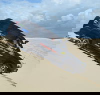 Port Stephens Bush Beach and Sand Dune 4WD Passenger Tour - Accommodation in Surfers Paradise