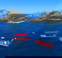 3-Hour Byron Bay Certified Scuba Diving Tour - Accommodation in Surfers Paradise