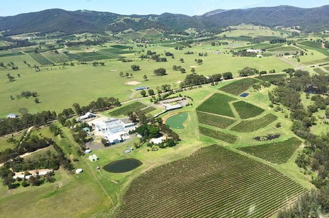 Helicopter Tour Of Hunter Valley In New South Wales With Lunch - Accommodation in Surfers Paradise 4