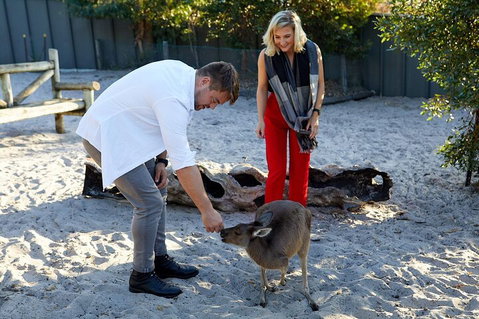 Albany's Whale Story - Accommodation in Surfers Paradise 1