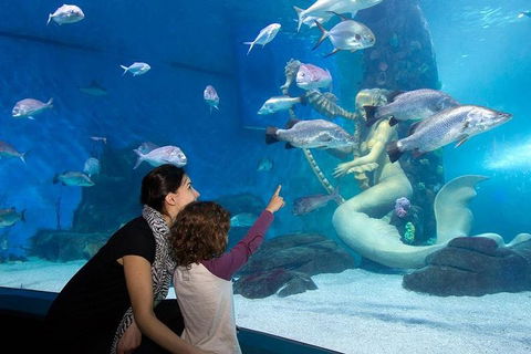 SEA LIFE Melbourne Aquarium Admission Ticket - Accommodation in Surfers Paradise 4