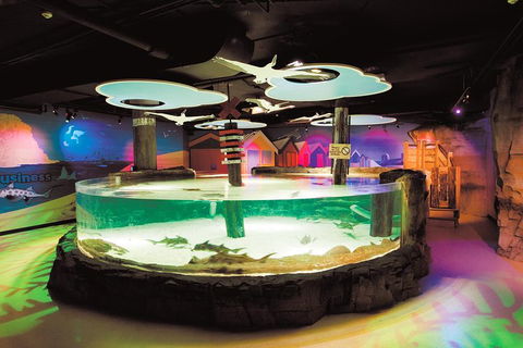 SEA LIFE Melbourne Aquarium Admission Ticket - Accommodation in Surfers Paradise 5