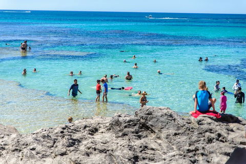 Rottnest Island Roundtrip Fast Ferry From Hillarys Boat Harbour - Accommodation in Surfers Paradise 1