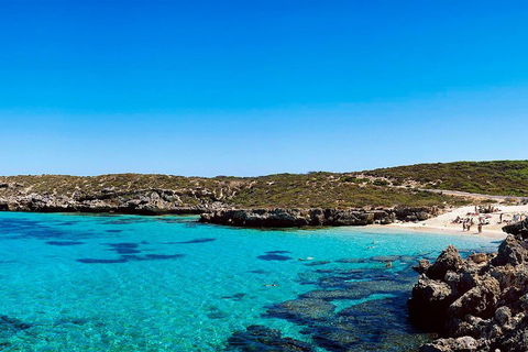 Rottnest Island Roundtrip Fast Ferry From Hillarys Boat Harbour - Accommodation in Surfers Paradise 4