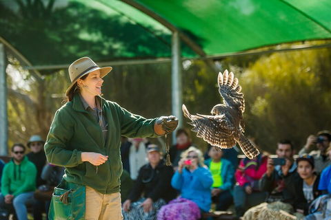 Full Day Kangaroo Island Sip And See Tour Departing From Kangaroo Island - Accommodation in Surfers Paradise 1