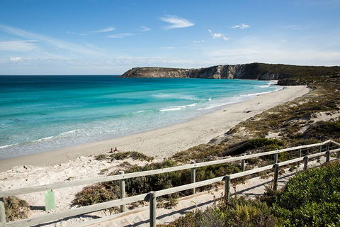 Full Day Kangaroo Island Sip And See Tour Departing From Kangaroo Island - Accommodation in Surfers Paradise 5
