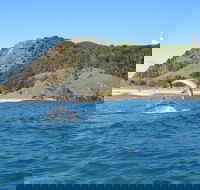 Kayaking with Dolphins in Byron Bay Guided Tour - Accommodation in Surfers Paradise
