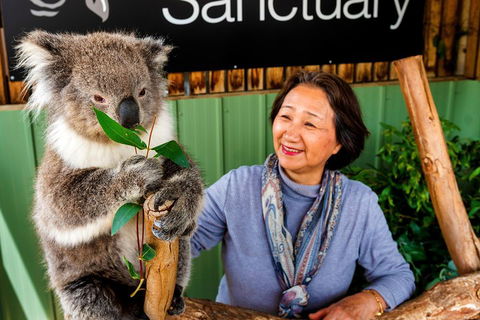 Moonlit Sanctuary Wildlife Conservation Park Daytime General Entry Ticket - Accommodation in Surfers Paradise 0