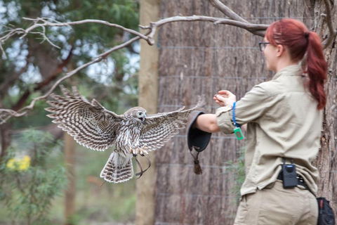 Moonlit Sanctuary Wildlife Conservation Park Daytime General Entry Ticket - Accommodation in Surfers Paradise 1