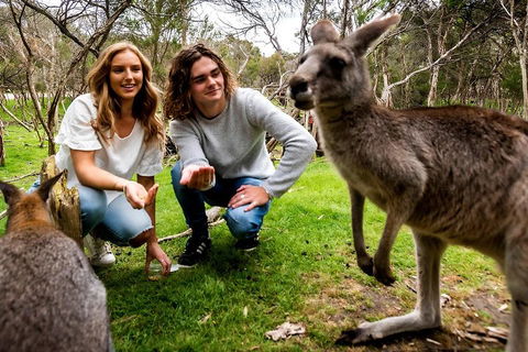 Moonlit Sanctuary Wildlife Conservation Park Daytime General Entry Ticket - Accommodation in Surfers Paradise 2