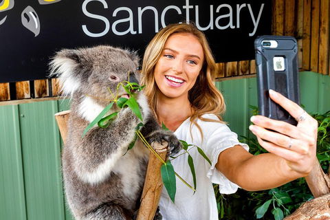 Moonlit Sanctuary Wildlife Conservation Park Daytime General Entry Ticket - Accommodation in Surfers Paradise 4