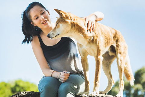 Moonlit Sanctuary Wildlife Conservation Park Daytime General Entry Ticket - Accommodation in Surfers Paradise 5