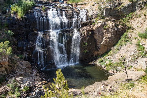 Grampians National Park With Kangaroos And MacKenzie Falls From Melbourne - Accommodation in Surfers Paradise 1