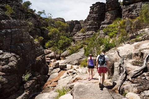 Grampians National Park With Kangaroos And MacKenzie Falls From Melbourne - Accommodation in Surfers Paradise 3