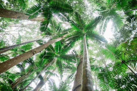 Fraser Explorer K'gari 2-Day Tour - Accommodation in Surfers Paradise 2