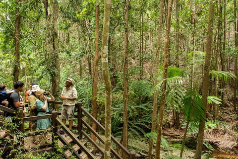 Fraser Explorer K'gari 2-Day Tour - Accommodation in Surfers Paradise 5