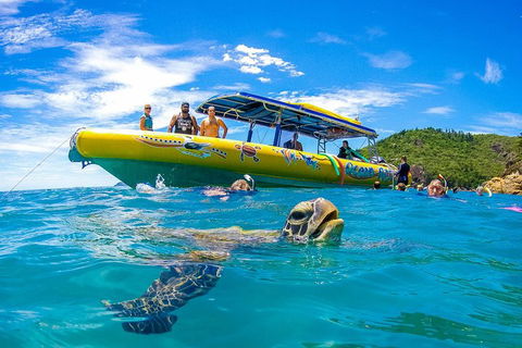 Great Barrier Reef Scenic Flight And Ocean Rafting Whitehaven Beach Day Trip - Accommodation in Surfers Paradise 1
