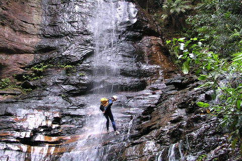 Full-Day Canyoning Experience At Stunning Empress Canyon - Accommodation in Surfers Paradise 0