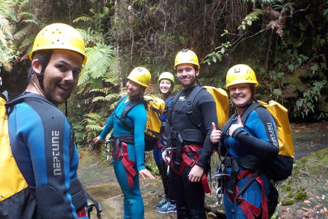 Full-Day Canyoning Experience At Stunning Empress Canyon - Accommodation in Surfers Paradise 1