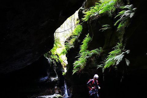 Full-Day Canyoning Experience At Stunning Empress Canyon - Accommodation in Surfers Paradise 2