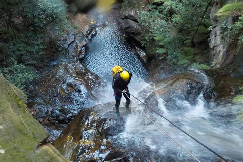Full-Day Canyoning Experience At Stunning Empress Canyon - Accommodation in Surfers Paradise 4