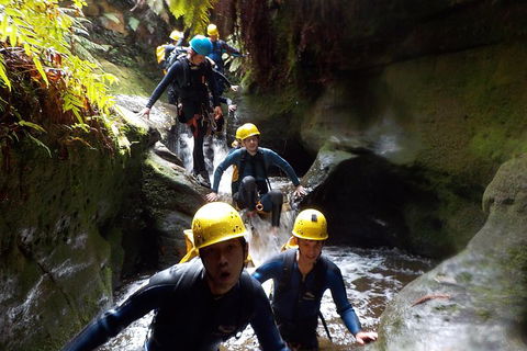 Full-Day Canyoning Experience At Stunning Empress Canyon - Accommodation in Surfers Paradise 5