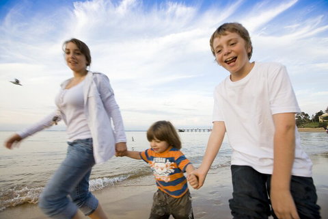 Phillip Island Penguin And Koala Highlights Day-Trip From Melbourne - Accommodation in Surfers Paradise 0