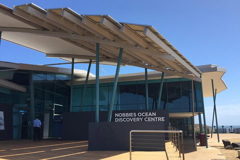 Phillip Island Penguin And Koala Highlights Day-Trip From Melbourne - Accommodation in Surfers Paradise 1