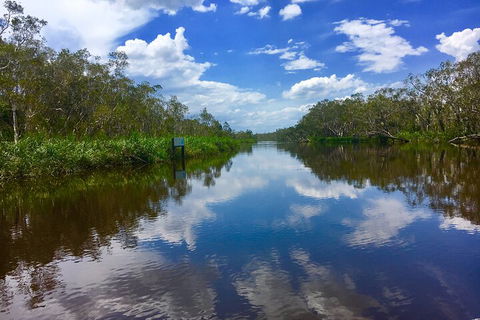 Noosa Everglades Serenity Cruise & Highlights Tour Inc. Lunch & Cruise - Accommodation in Surfers Paradise 0