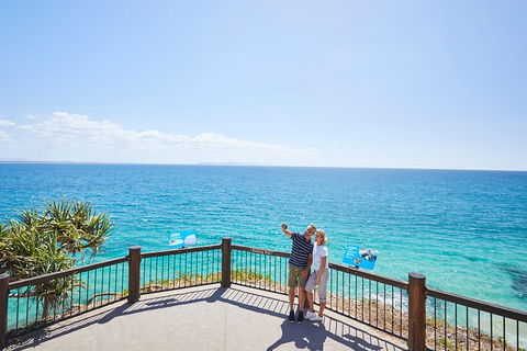 Noosa Everglades Serenity Cruise & Highlights Tour Inc. Lunch & Cruise - Accommodation in Surfers Paradise 3