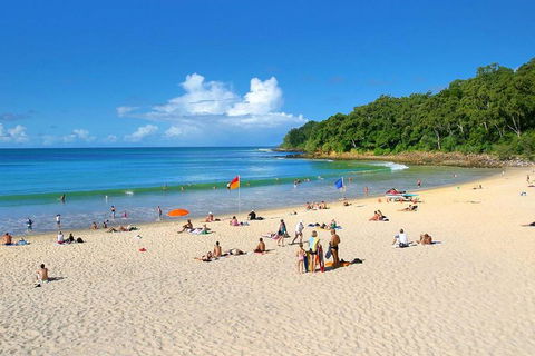 Noosa Everglades Serenity Cruise & Highlights Tour Inc. Lunch & Cruise - Accommodation in Surfers Paradise 4