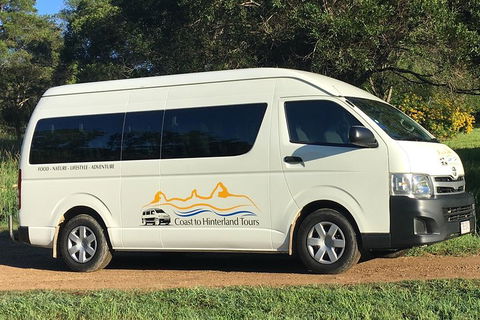 Noosa Everglades Serenity Cruise & Highlights Tour Inc. Lunch & Cruise - Accommodation in Surfers Paradise 5