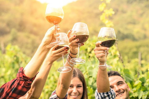 Adelaide Hills Day Tour. Winery Cellar Doors - Accommodation in Surfers Paradise 0