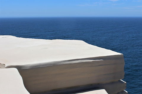 Royal National Park Tour - Accommodation in Surfers Paradise 0
