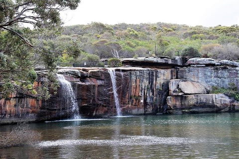 Royal National Park Tour - Accommodation in Surfers Paradise 1