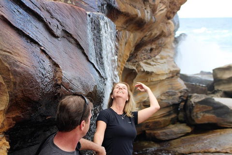 Royal National Park Tour - Accommodation in Surfers Paradise 4