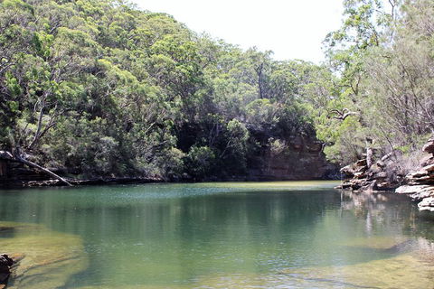 Royal National Park Tour - Accommodation in Surfers Paradise 5