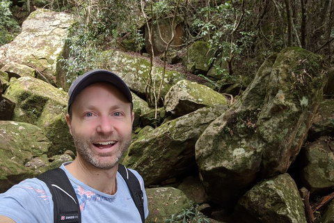 Australian Wildlife & Waterfalls Private Tour With 'Personalised Sydney Tours' - Accommodation in Surfers Paradise 4