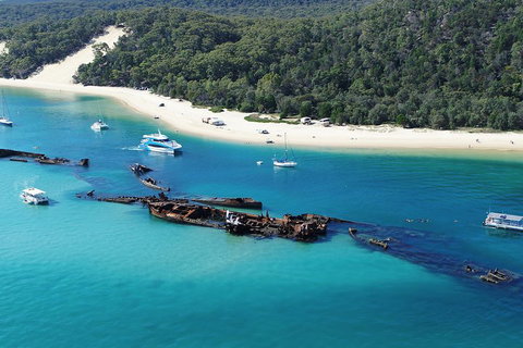 All Inclusive Dolphin And Tangalooma Wrecks Cruise - Accommodation in Surfers Paradise 4