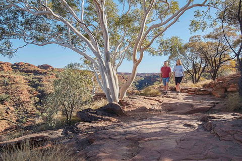 3-Day Tour From Uluru (Ayers Rock) To Alice Springs Via Kings Canyon - Accommodation in Surfers Paradise 1